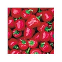 piment miniature bell red